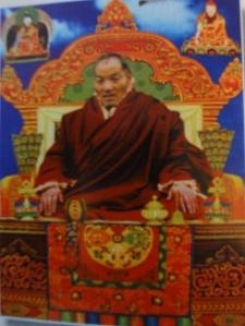 akyong_lama_tokden_rinpoche_0