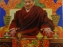 akyong_lama_tokden_rinpoche_0