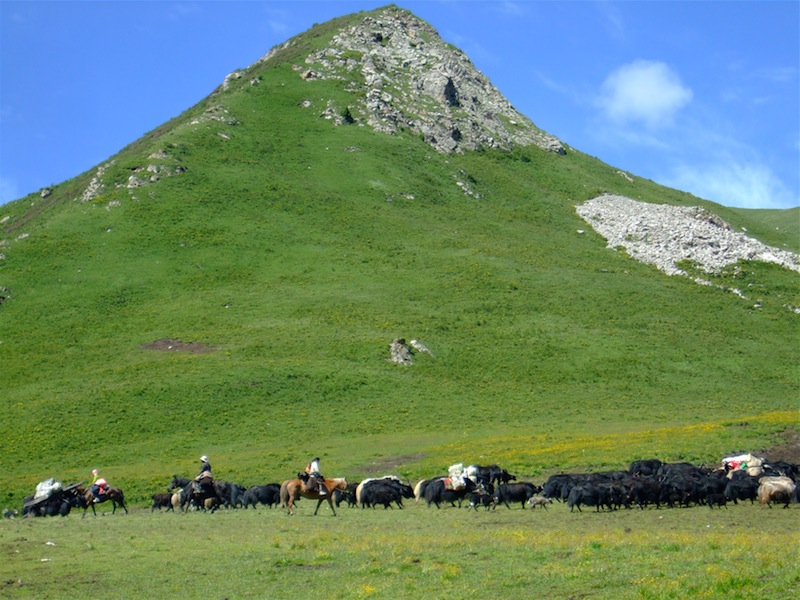nomadswithyaks