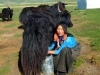milkingyak